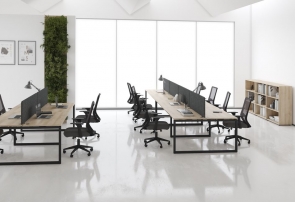 XTEN-Q 01 Бук Тиара Антрацит Комплект офисной мебели