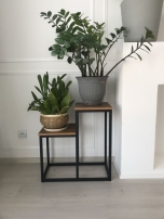 600*300*620мм Таксония 600*300*620мм Таксония Подставка под цветы