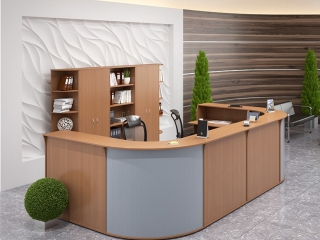 Ресепшн Imago-R