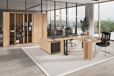 Кабинет руководителя EVOLUTION