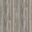 Дуб Базель